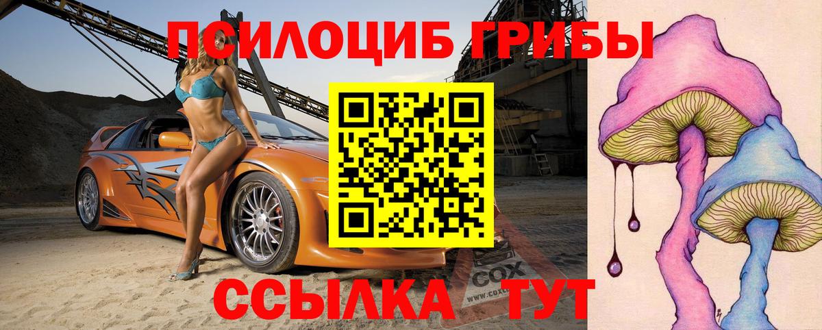 Псилоцибиновые грибы Psilocybine cubensis  Псилоцибиновые грибы GOLDEN TEACHER  Кропоткин  Вход с VPN 