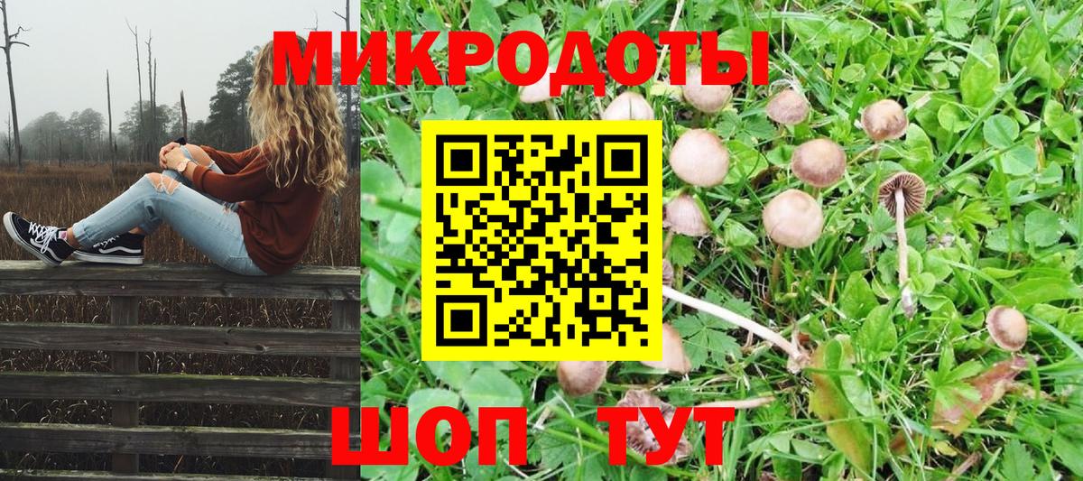 Псилоцибиновые грибы Psilocybe Кропоткин